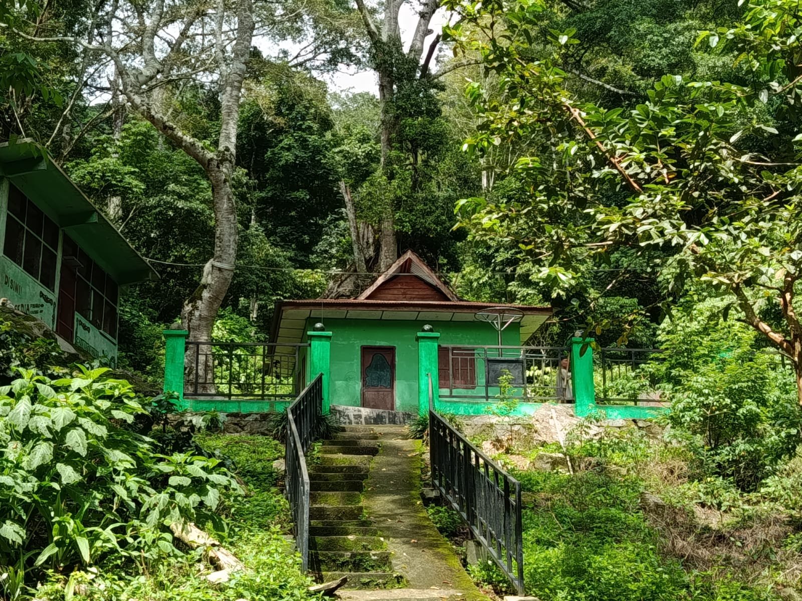 Monkey Forest